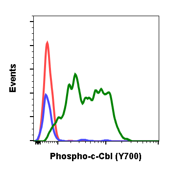 Phospho-c-Cbl (Tyr700) (E1) rabbit mAb Antibody