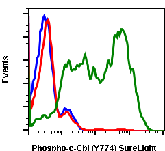 Phospho-c-Cbl (Tyr774) (R3B8) rabbit mAb SureLight488 conjugate Antibody