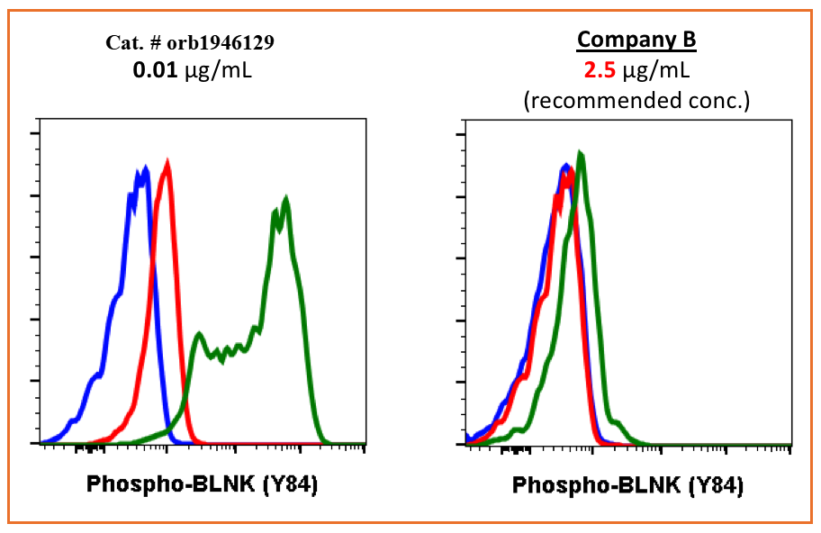 Phospho-BLNK (Tyr84) (H4) rabbit mAb Antibody