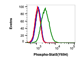Phospho-Stat5 (Tyr694) (B5) rabbit mAb Antibody