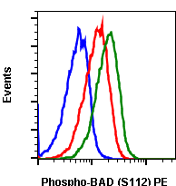 Phospho-BAD (Ser112) (B9) rabbit mAb PE conjugate Antibody