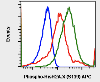 Phospho-Histone H2A.X (Ser139) (1E4) rabbit mAb APC conjugate Antibody