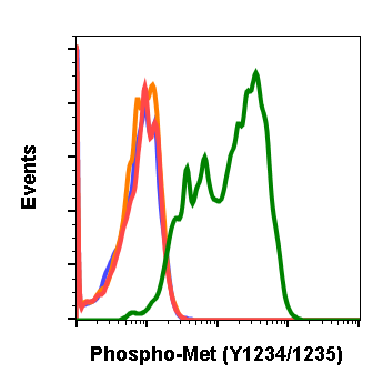 Phospho-MET (Tyr1234/1235) (6F11) rabbit mAb Antibody