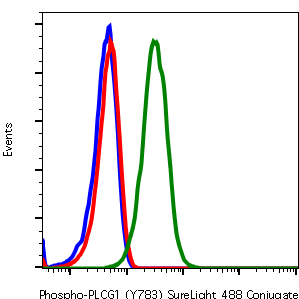 Phospho-PLCg1 (Tyr783) (C4) rabbit mAb SureLight488 conjugate Antibody