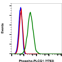 Phospho-PLCg1 (Tyr783) (C4) rabbit mAb FITC conjugate Antibody