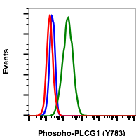 Phospho-PLCg1 (Tyr783) (C4) rabbit mAb PE conjugate Antibody