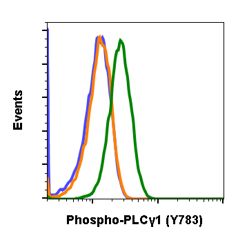Phospho-PLCg1 (Tyr783) (C4) rabbit mAb Antibody