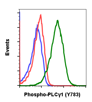 Phospho-PLCg1 (Tyr783) (C4) rabbit mAb Antibody
