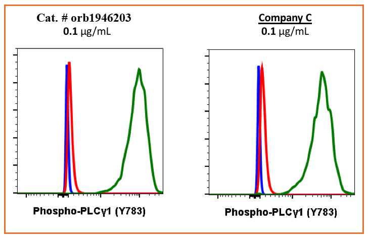 Phospho-PLCg1 (Tyr783) (C4) rabbit mAb Antibody