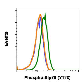 Phospho-SLP-76 (Tyr128) (3F8) rabbit mAb Antibody