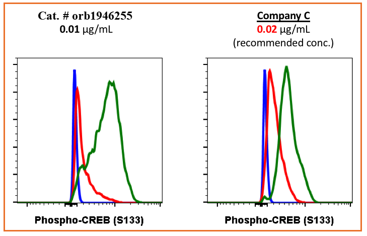 Phospho-CREB (Ser133) (4D11) rabbit mAb Antibody