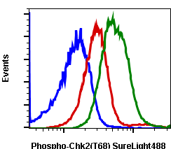 Phospho-Chk2 (Thr68) (D12) rabbit mAb SureLight488 conjugate Antibody