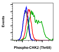 Phospho-Chk2 (Thr68) (D12) rabbit mAb Antibody