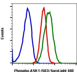 Phospho-Ask1 (Ser83) (G4) rabbit mAb SureLight 488 conjugate Antibody