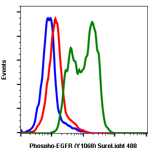 Phospho-EGFR (Tyr1068) (E5) rabbit mAb SureLight488 conjugate Antibody