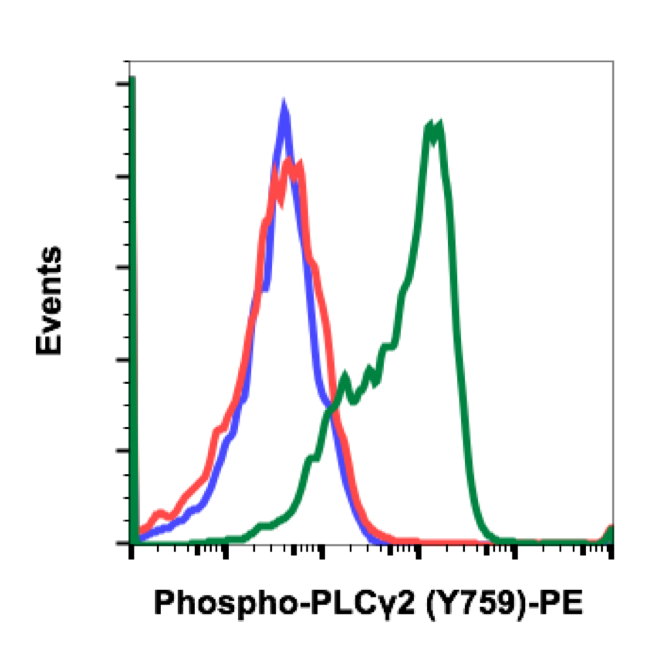 Phospho-PLCg2 (Tyr759) (G3) rabbit mAb PE conjugate Antibody