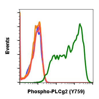 Phospho-PLCg2 (Tyr759) (G3) rabbit mAb Antibody