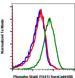 Phospho-Stat6 (Tyr641) (G12) rabbit mAb SureLight 488 conjugate Antibody