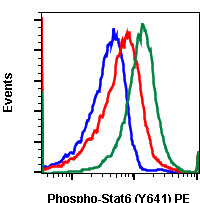 Phospho-Stat6 (Tyr641) (G12) rabbit mAb PE conjugate Antibody