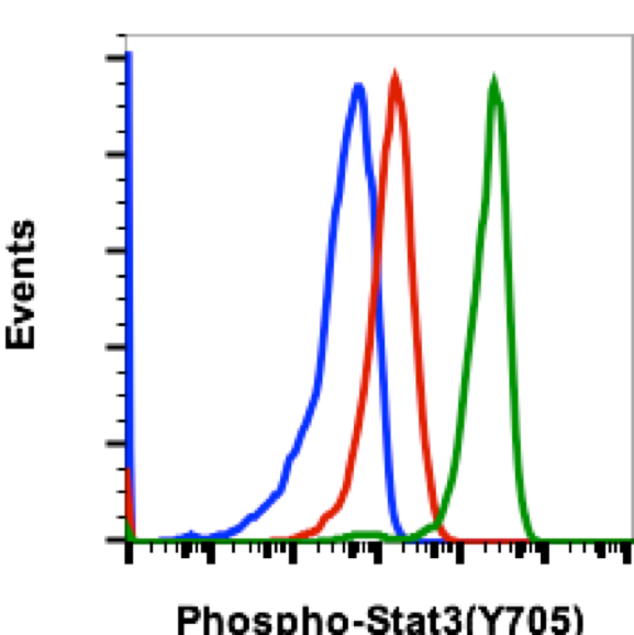 Phospho-Stat3 (Tyr705) (B12) rabbit mAb Antibody