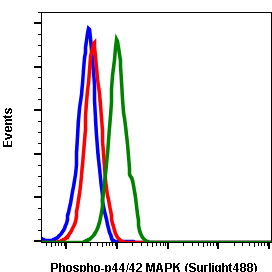 Phospho-p44/42 MAPK (Erk1/2) (Thr202/Tyr204) (A11) rabbit mAb SureLight 488 conjugate Antibody