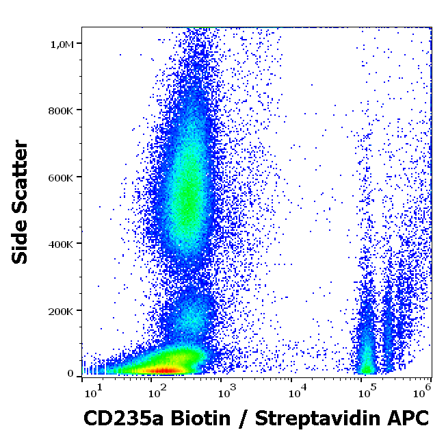 CD235a Antibody (Biotin)