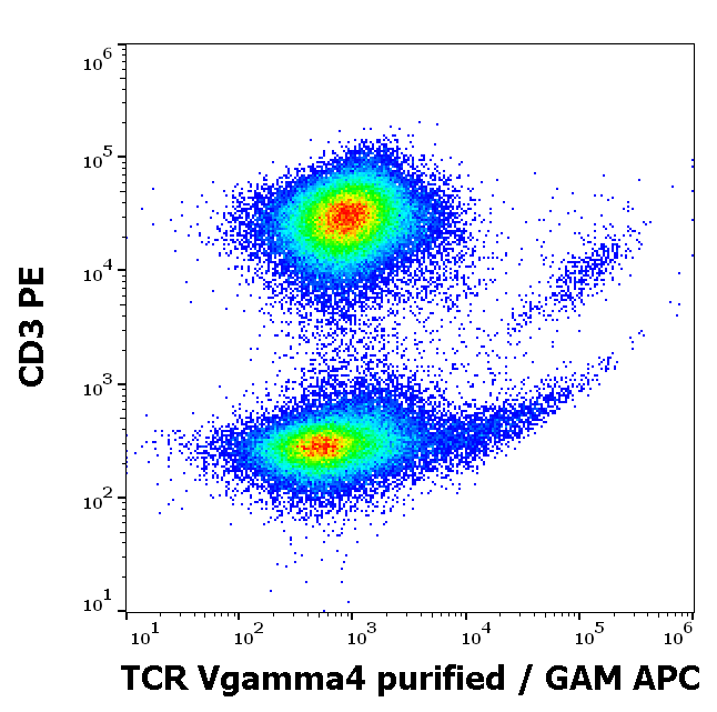 TCR Vgamma4 Antibody