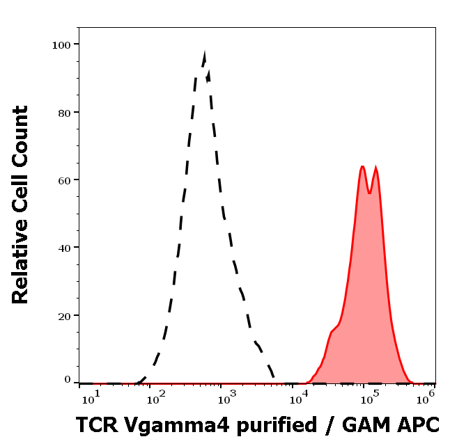 TCR Vgamma4 Antibody