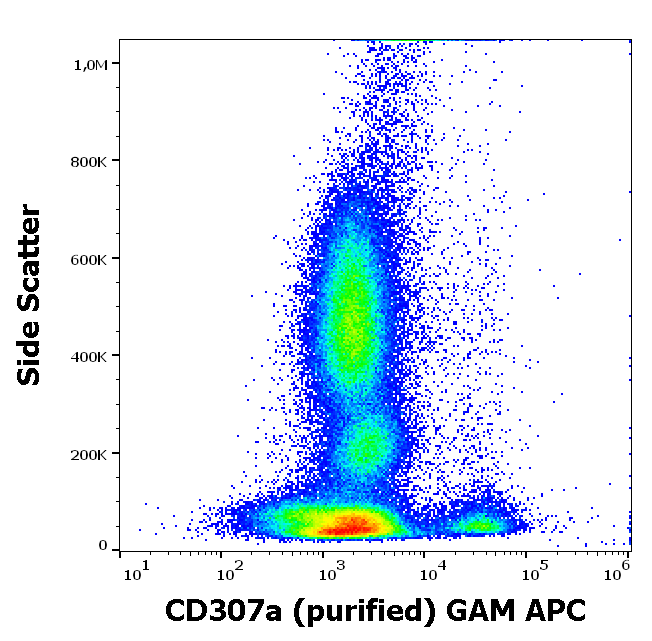 CD307a Antibody