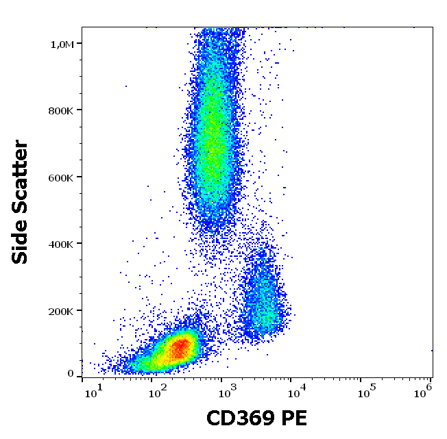CD369 Antibody (PE)