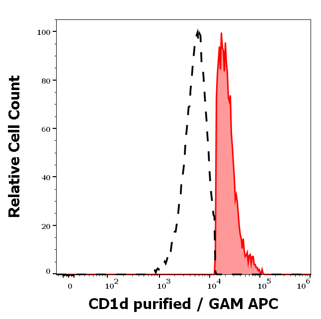 CD1d Antibody