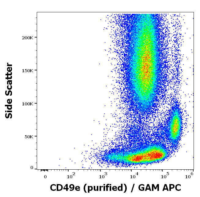 CD49e Antibody