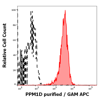 PPM1D Antibody