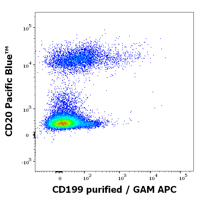 CD199 Antibody