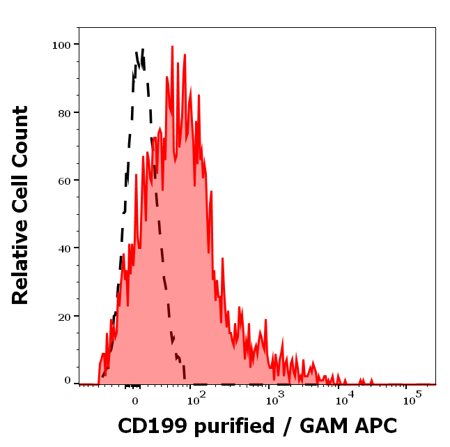CD199 Antibody