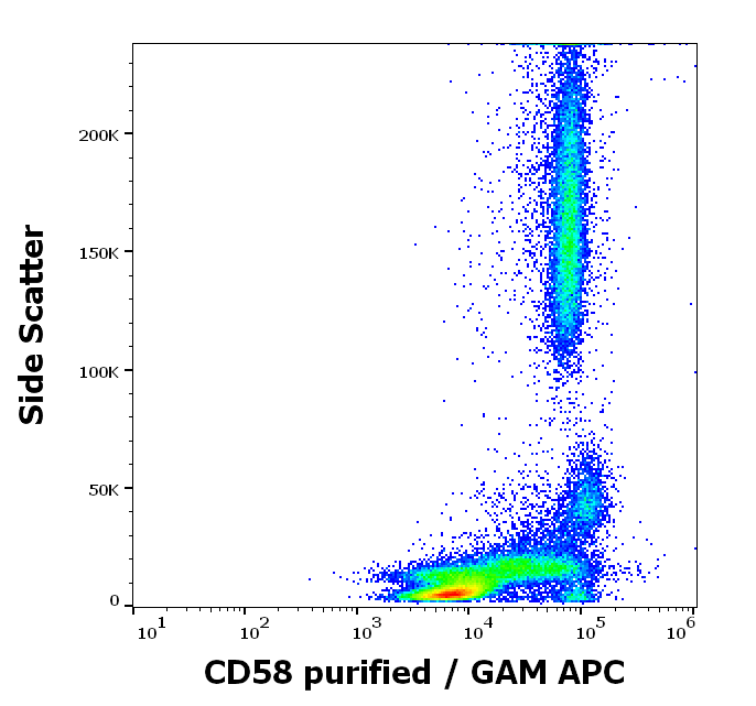 CD58 Antibody