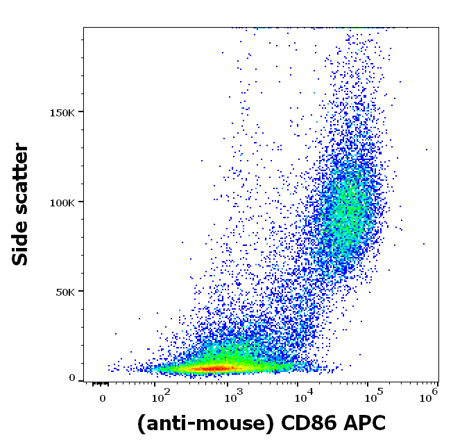 CD86 Antibody (APC)