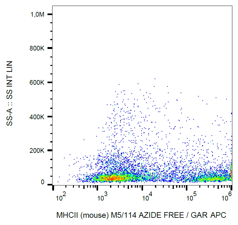MHC Class II Antibody