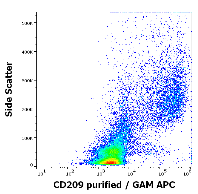CD209 Antibody