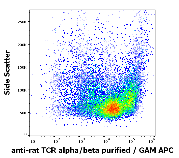 TCR alpha/beta Antibody