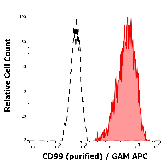 CD99 Antibody