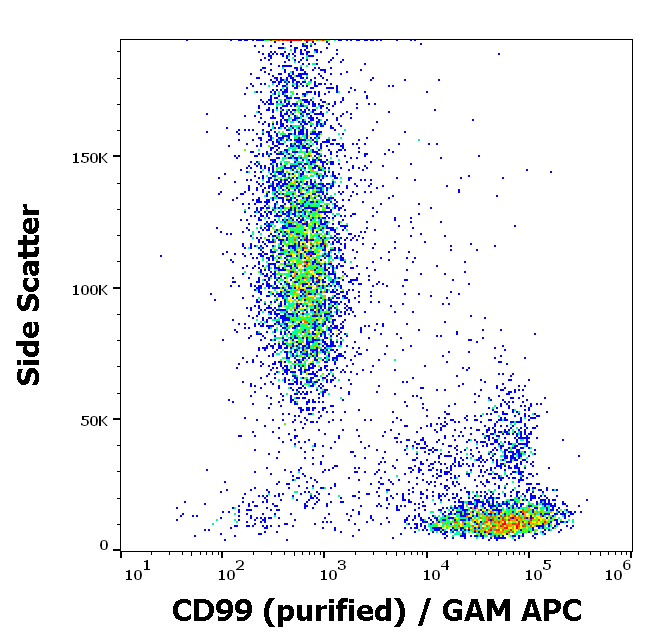 CD99 Antibody