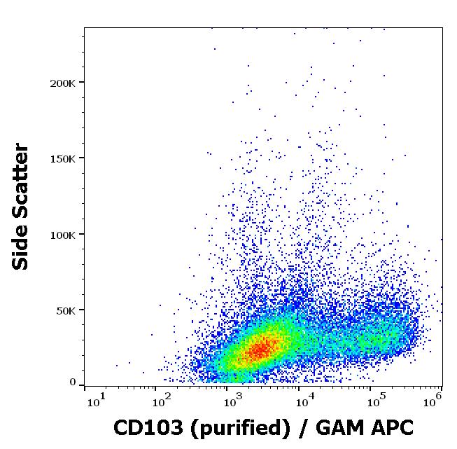 CD103 Antibody