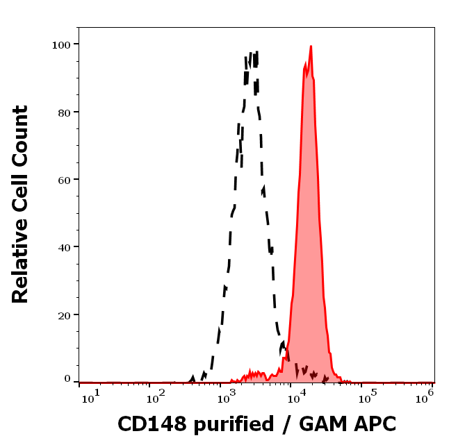 CD148 Antibody