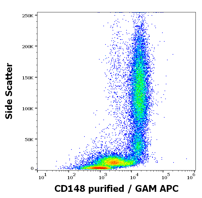 CD148 Antibody