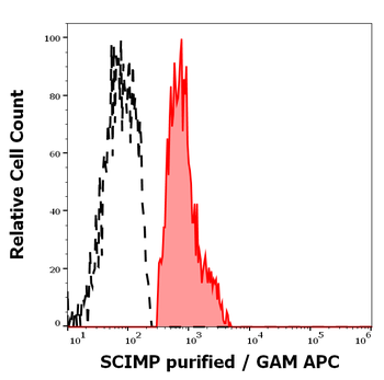 SCIMP Antibody
