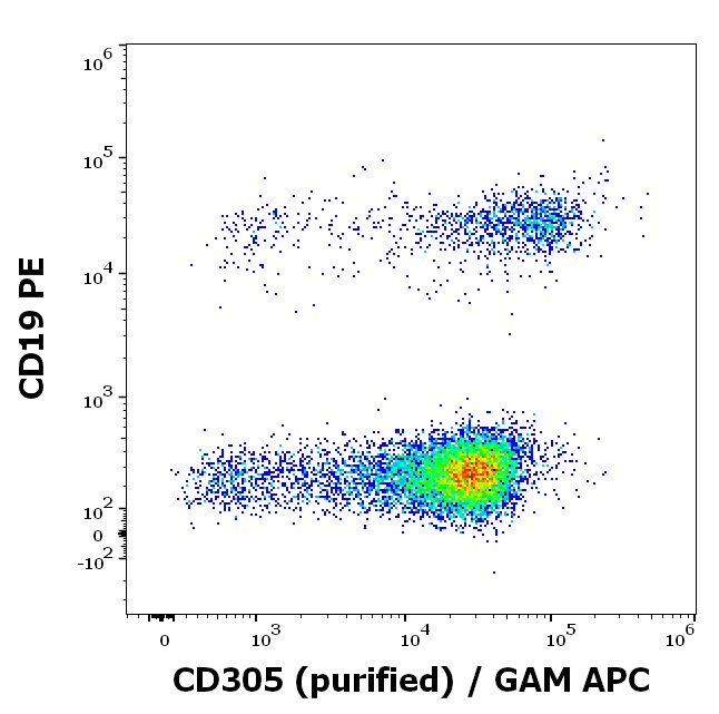 CD305 Antibody