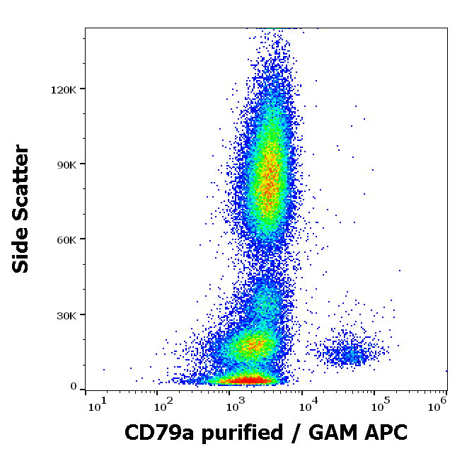 CD79a Antibody