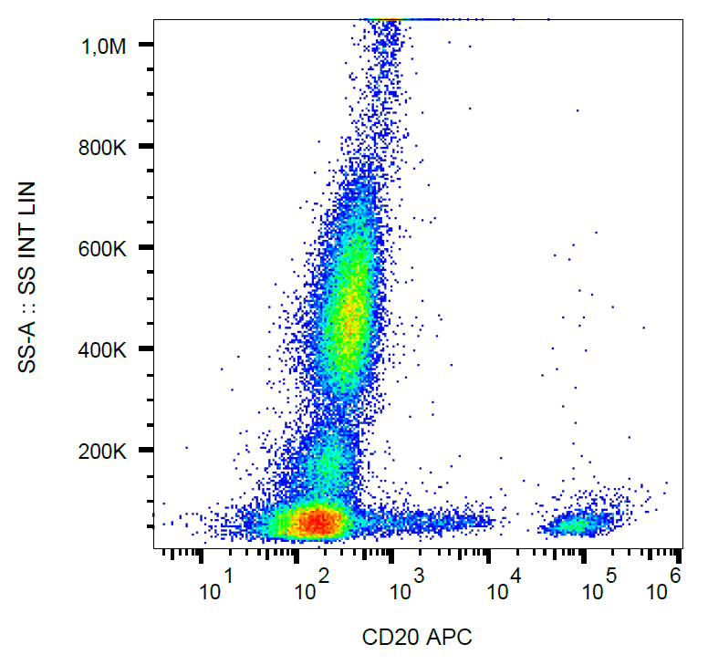 CD20 Antibody (APC)