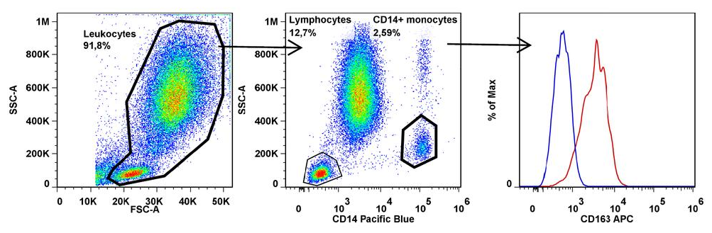 CD163 Antibody (APC)